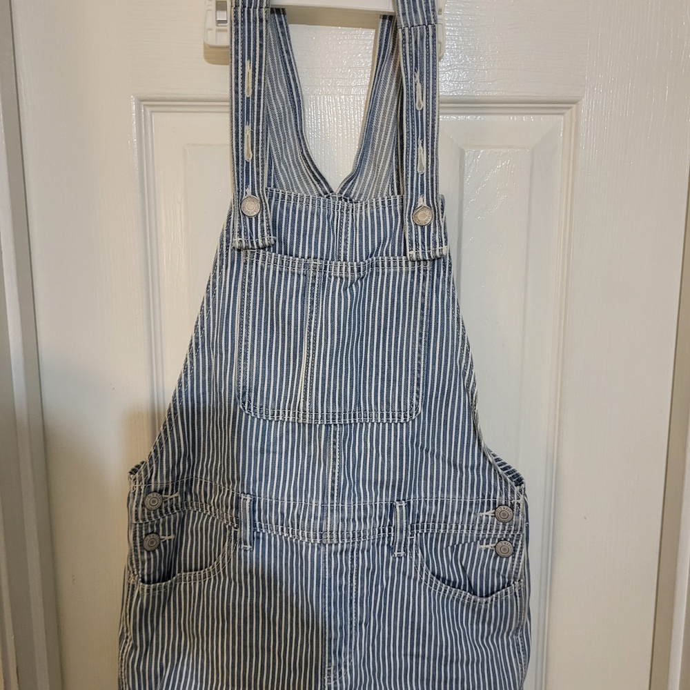 Old Navy Blue and White Striped Overall Shorts